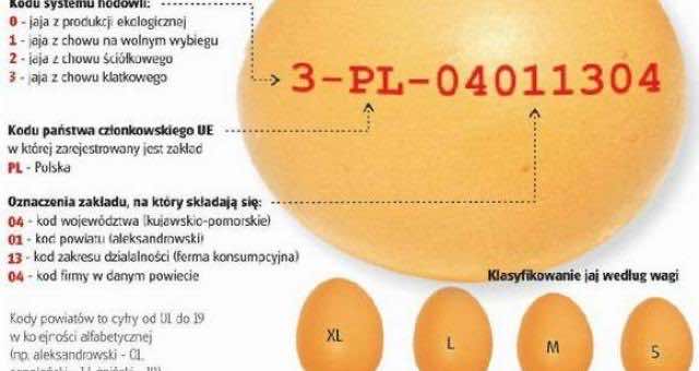 Uważajcie na ekologiczne jajka, które mogą zawierać toksyny!