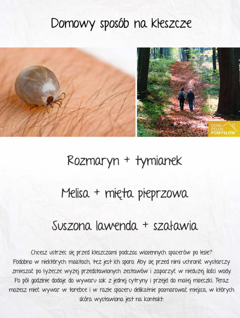 Domowy sposób na kleszcze