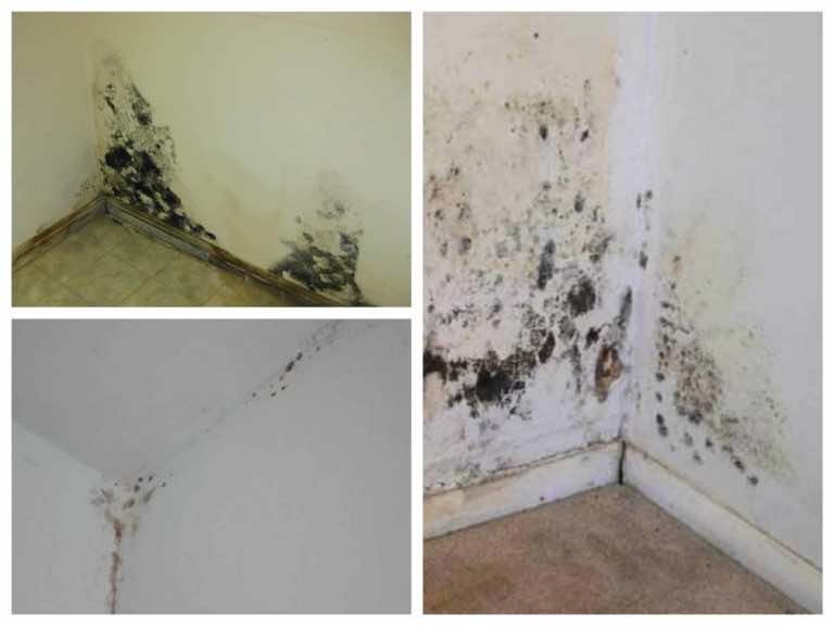 3 proste sposoby na pozbycie się pleśni ze ścian