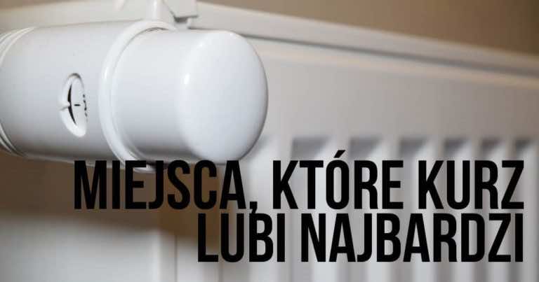 Miejsca, które kurz lubi najbardziej, sprawdź kiedy ostatnio je sprzątałaś!