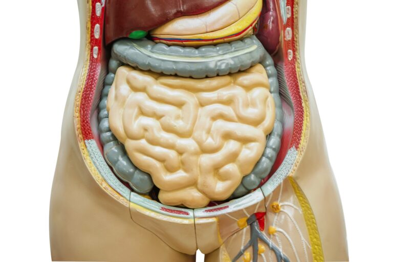 Czy wiesz, że w Twoich jelitach może zalegać aż 9kg resztek jedzenia? Zobacz, jak się ich pozbyć.