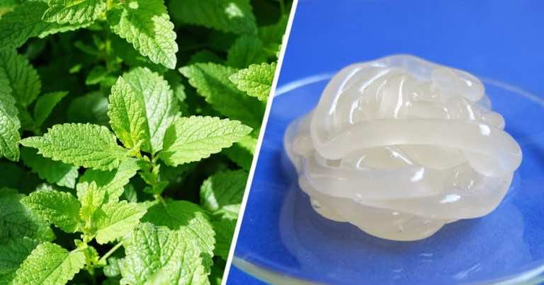 Domowa maść na katar, kaszel i lepsze oddychanie – przepis