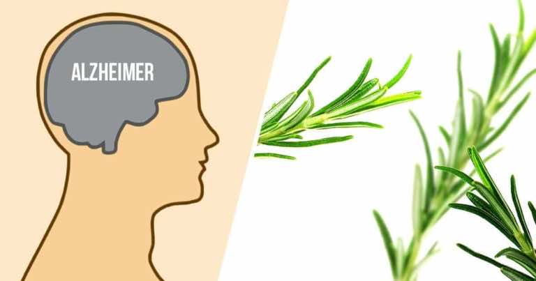 4 zioła, które chronią przed chorobą Alzheimera – zacznij je spożywać