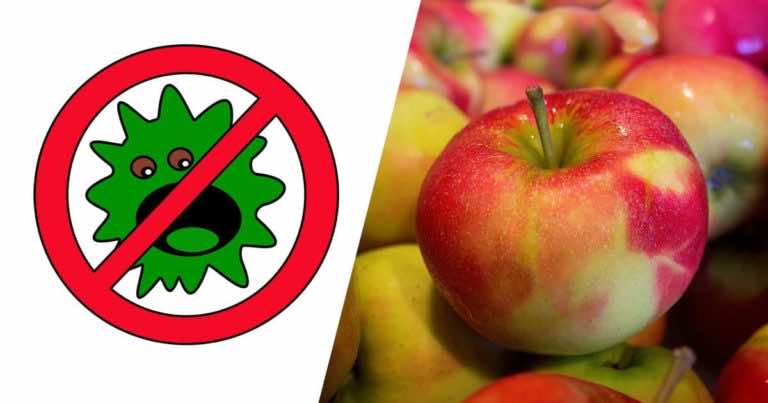 Zobacz jak w 7 dni domowym sposobem pozbyć się pasożytów z organizmu