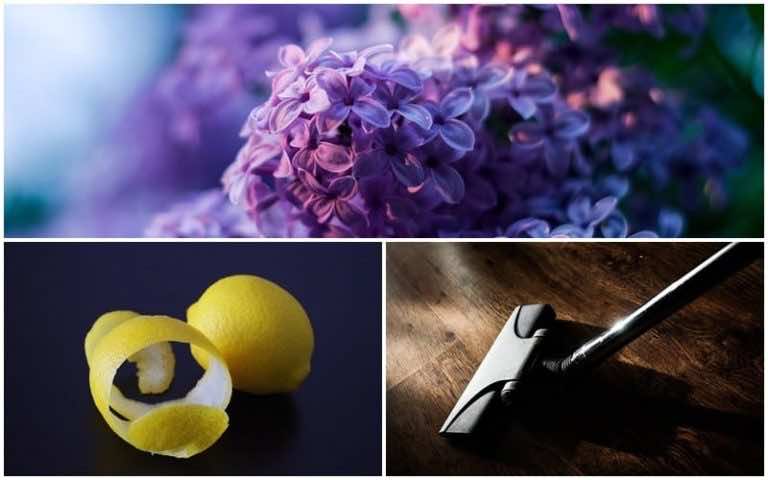 Kilka pomysłów na odświeżenie powietrza w mieszkaniu