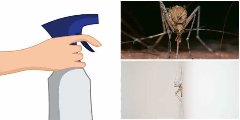 Naturalny i skuteczny spray na komary – PRZEPIS