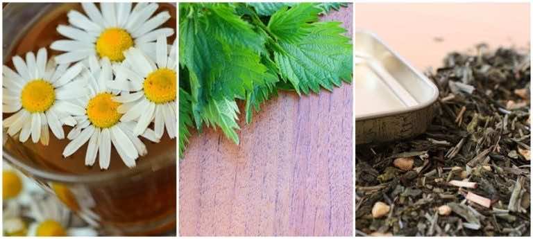 3 najlepsze napary ziołowe, które oczyszczą Twój organizm