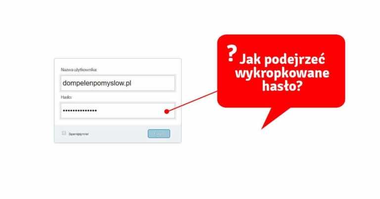 Jak zobaczyć wykropkowane hasło w przeglądarce?
