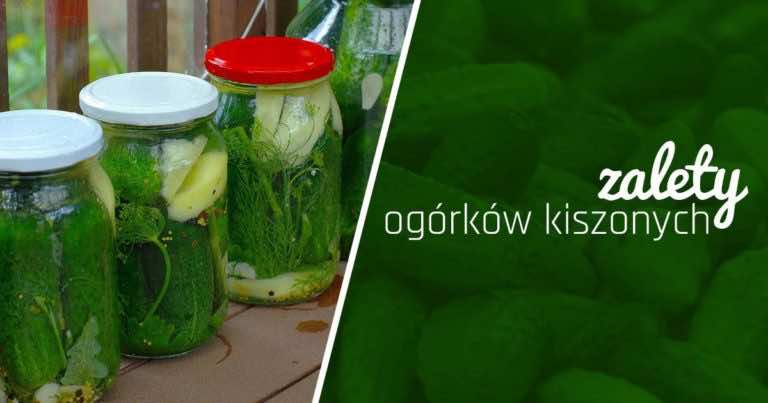 Lubisz kiszone ogórki? Zobacz dlaczego warto je jeść!