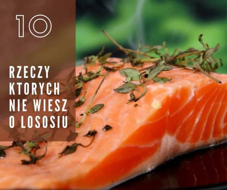 10 rzeczy, których nie wiedziałeś o łososiu
