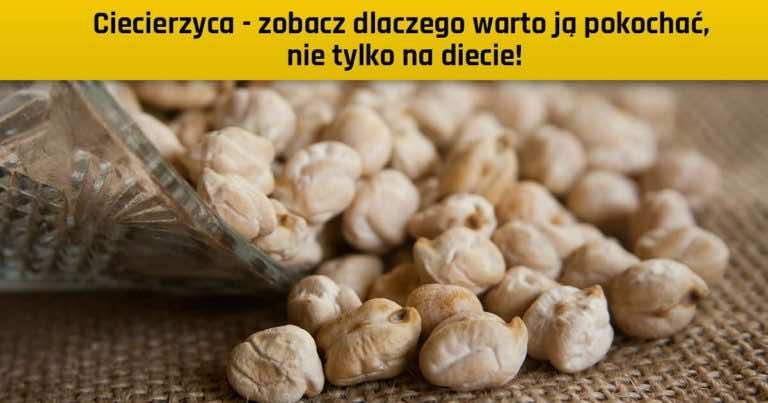 Ciecierzyca – zobacz dlaczego warto ją pokochać, nie tylko na diecie!