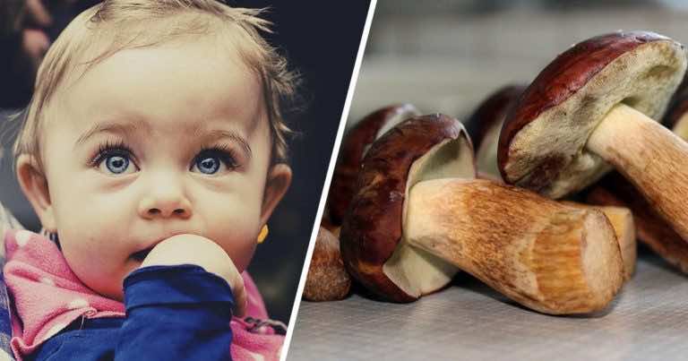 Czy możemy dać dziecku grzyby?