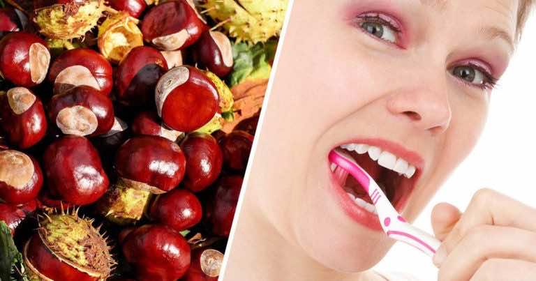 5 pomysłowych zastosowań kasztanów, na które byś nie wpadła!