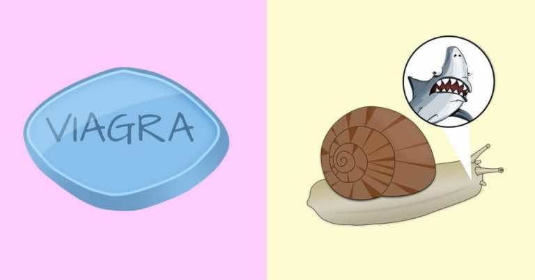 15 zaskakujących faktów, które pewnie uznalibyście za fałszywe. To jednak zadziwiająca prawda!