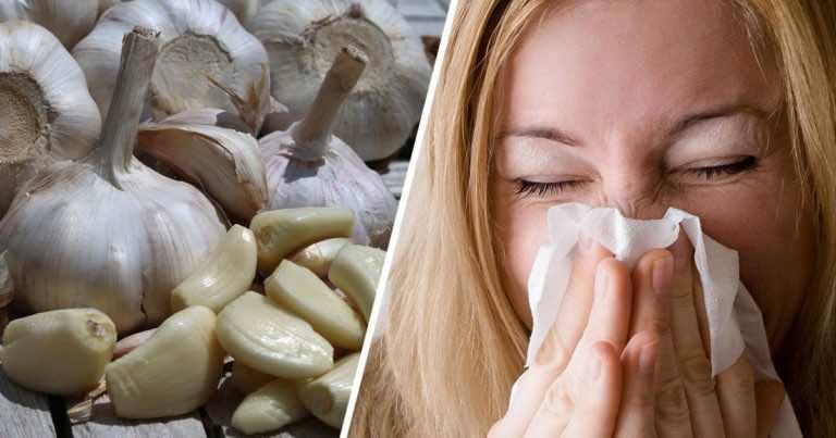 Syrop z czosnku na choroby. 10 razy skuteczniejszy od antybiotyku i naturalny!