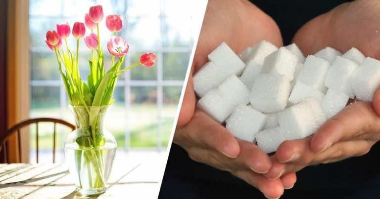 Nietypowe zastosowania cukru, które musisz poznać!