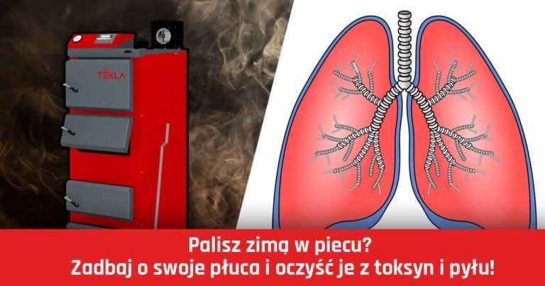 Palisz zimą w piecu? Zadbaj o swoje płuca i oczyść je z toksyn i pyłu!