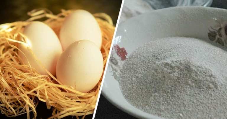 Czy jadłaś kiedykolwiek skorupki od jajek? Zobacz jak to zrobić i dlaczego warto!