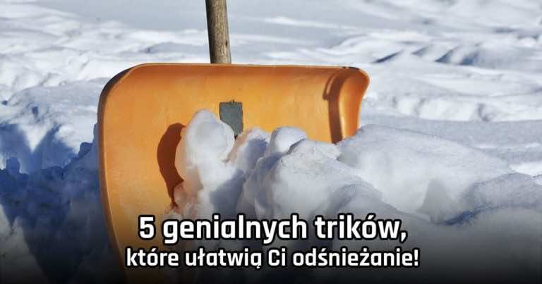 5 genialnych trików, które ułatwią Ci odśnieżanie!