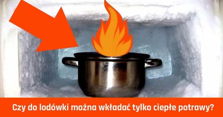 Czy do lodówki można wkładać ciepłe potrawy?