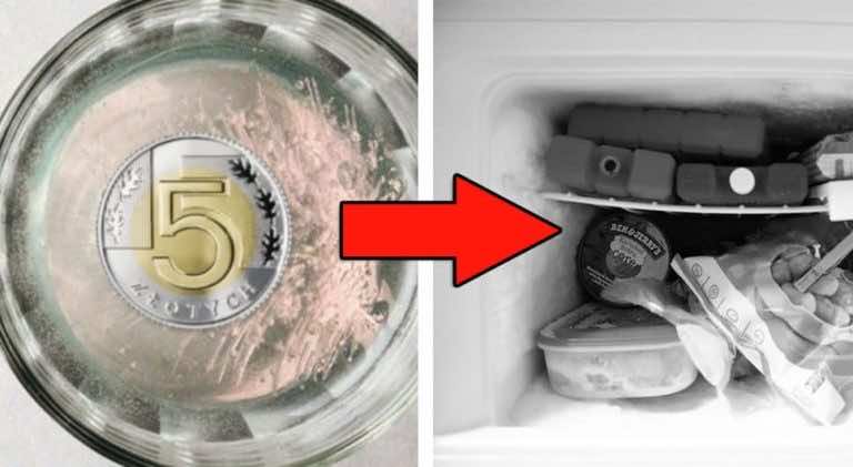 5 wskazówek dla osób, które nie lubią wyrzucać jedzenia