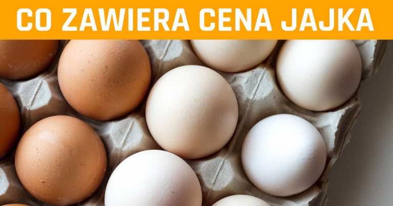 Co składa się na cenę jajka?