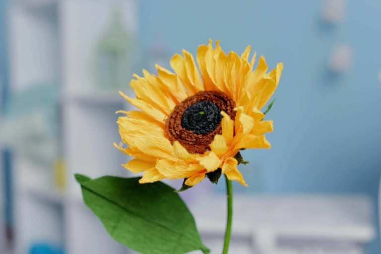 Słonecznik z krepiny