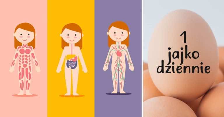 To właśnie stanie się z Twoim ciałem gdy będziesz jeść codziennie jedno jajko