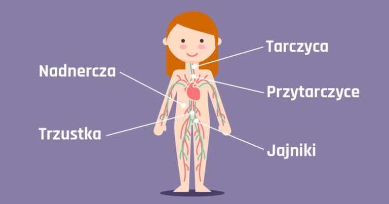 6 ziół, które naturalnie zrównoważą Twoje hormony