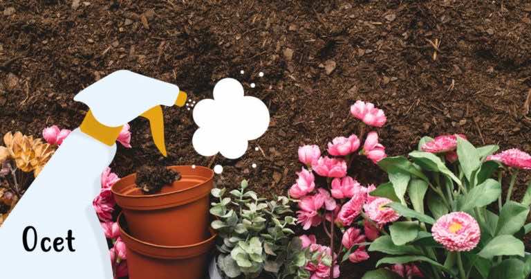 Biały ocet będzie najlepszym przyjacielem Twojego ogrodu. Zobacz dlaczego!