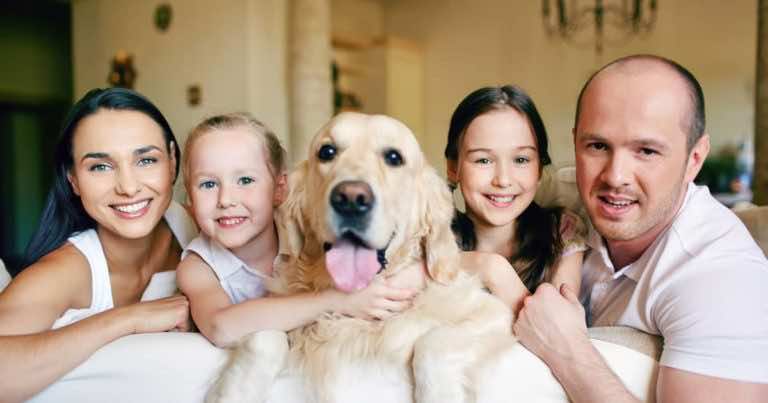 5 naukowych dowodów na to, że warto mieć psa!