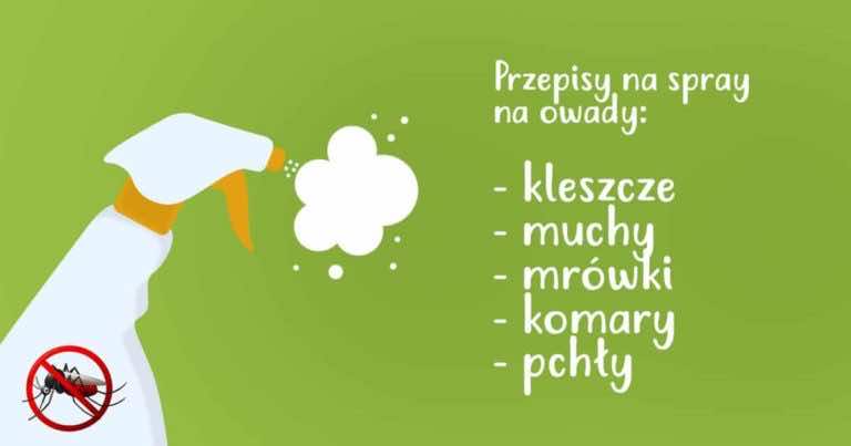 5 przepisów na domowe spraye na różne owady!