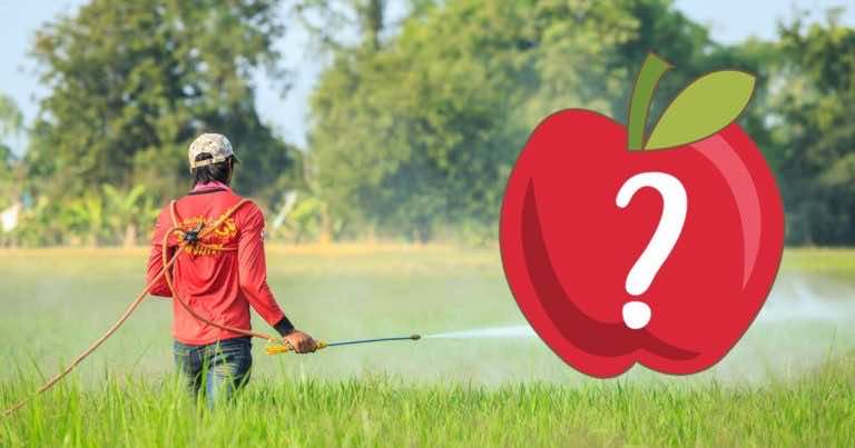 Które owoce i warzywa zawierają najwięcej pestycydów, a które najmniej?