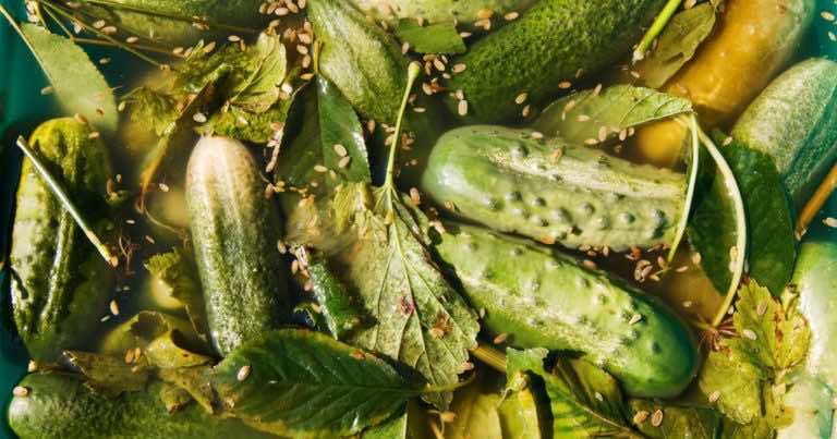 Zauważyłaś w sklepie biały nalot na ogórkach kiszonych? Zobacz czemu powinnaś JE KUPIĆ!