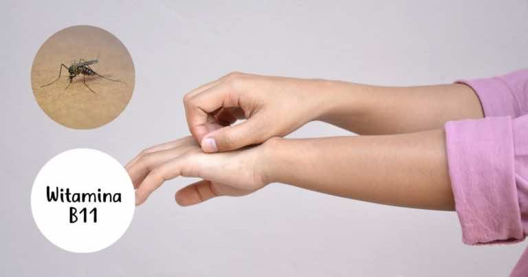 Wystarczy, że weźmiesz tę witaminę, a komary będą trzymały się z daleka