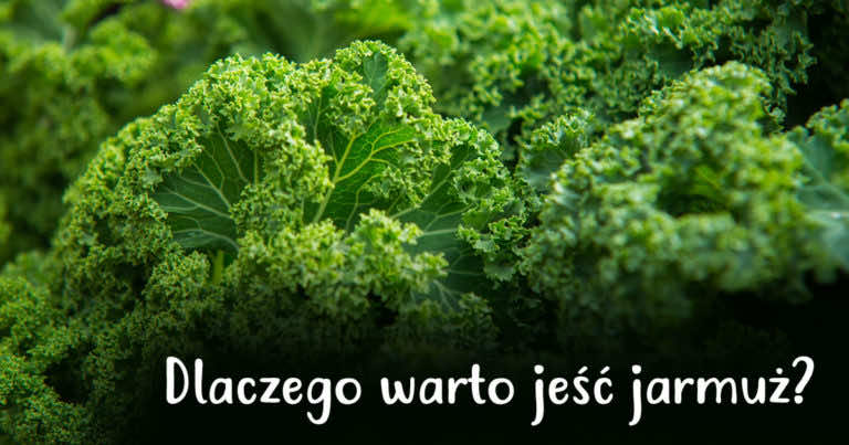 Dlaczego warto jeść jarmuż