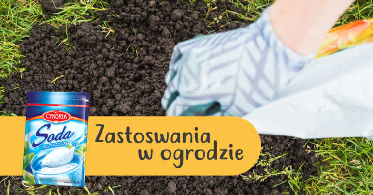 Jak wykorzystać sodę oczyszczoną w ogrodzie