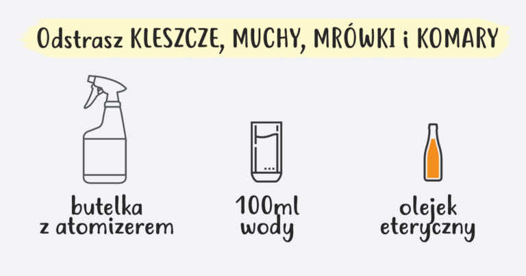 Te zapachy odstraszą KLESZCZE, MUCHY, MRÓWKI i KOMARY