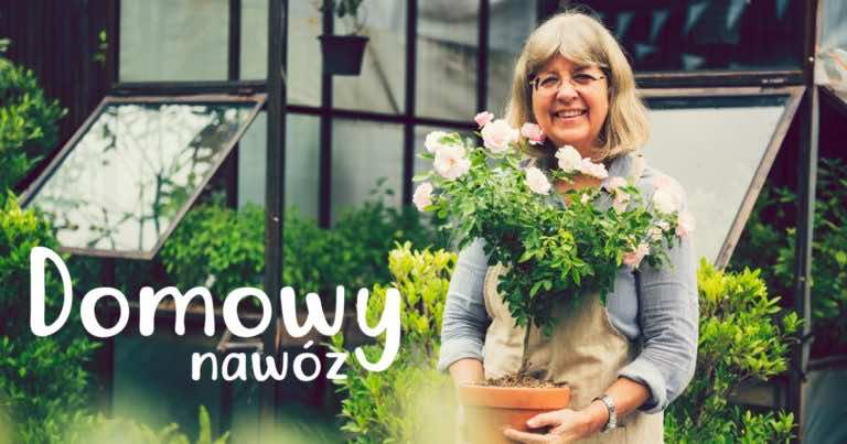 Aby zrobić nawóz do kwiatów wystarczy jeden składnik