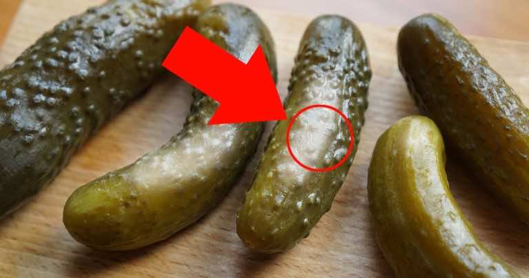 Wyrzucasz ogórki kiszone z białym nalotem? Zobacz dlaczego warto je zjeść!