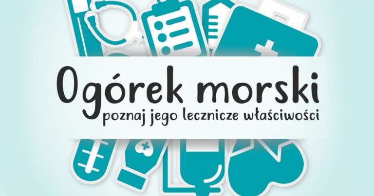 Ogórek morski – poznaj jego lecznicze właściwości