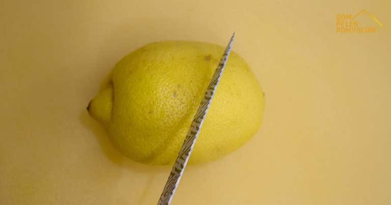 Tego triku z cytryną na pewno nie znaliście! Musisz zacząć z niego korzystać!