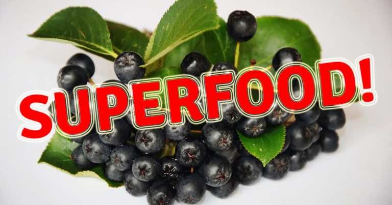 Naukowcy odkryli nowy Super Food – nasze babcie znały go już od dawna! Zobaczcie co to.