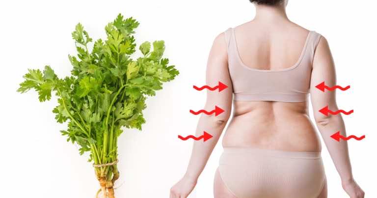 Poznaj moc pietruszki i zobacz jak z nią szybko schudnąć!