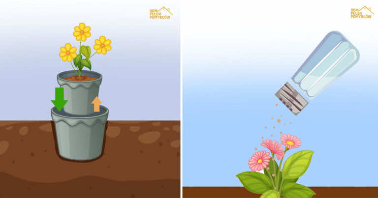 Kilka przydatnych trików, które wykorzystasz w swoim ogrodzie