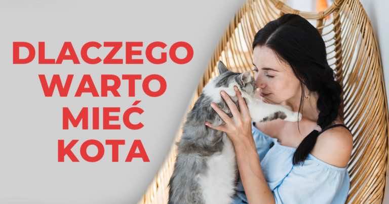 Masz kota? Zobacz co dzięki temu zyskujesz w stosunku do osób, które go nie mają!