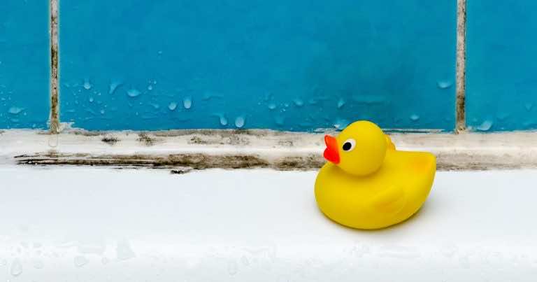 Jak usunąć pleśń z sylikonu