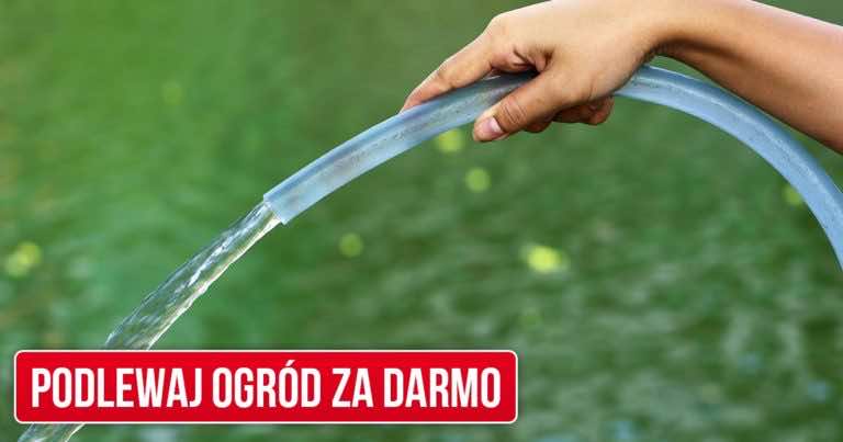 Podlewaj ogród za darmo – wykorzystaj ten sposób i oszczędzaj pieniądze na wodzie!