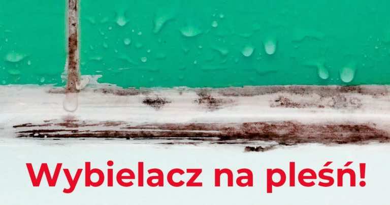Jak poradzić sobie z pleśnią wykorzystując wybielacz