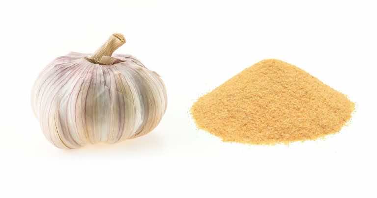 Czym różni się świeży czosnek od czosnku w proszku?